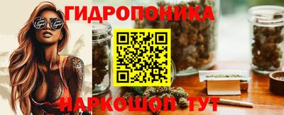 шишки Бузулук