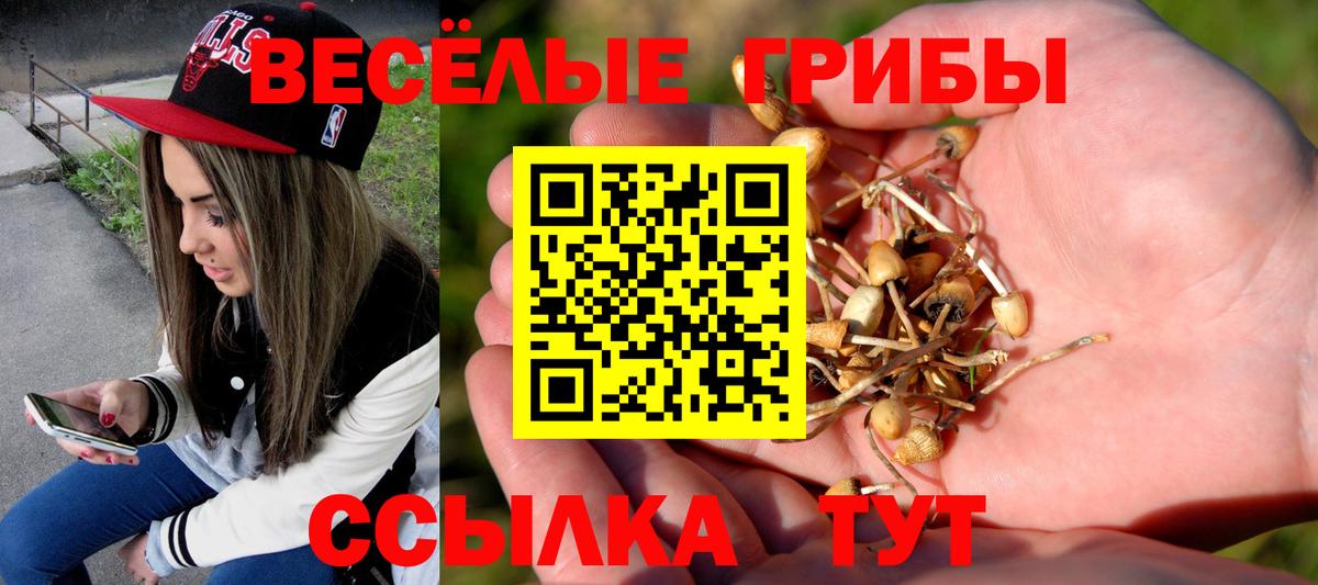 Новоалтайск  Псилоцибиновые грибы ЛСД  Вход с VPN 